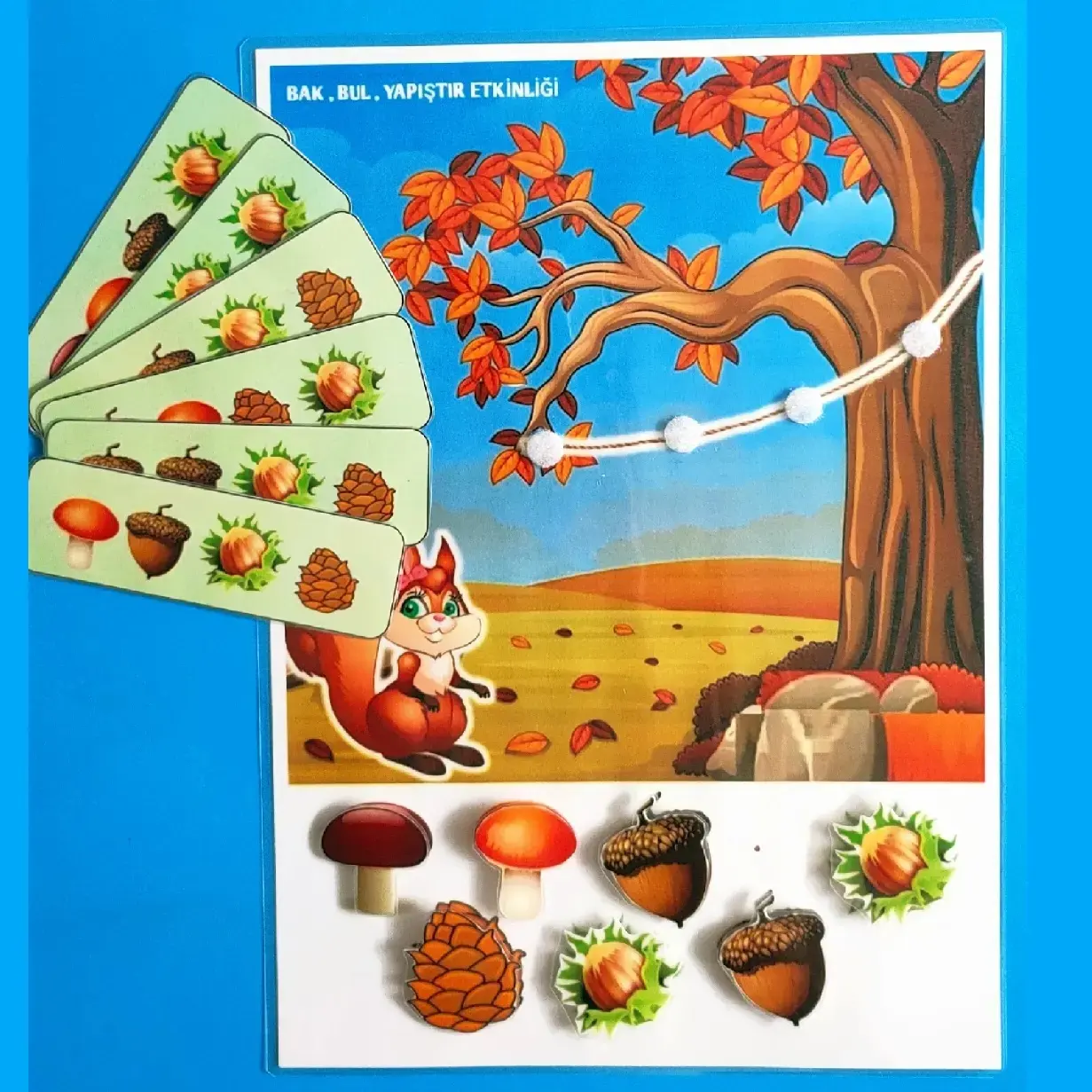 Bak , Bul , Yapıştır Etkinlik Seti