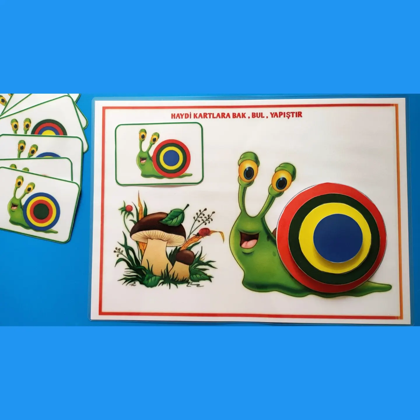 Yönergeli Salyangoz Etkinlik Seti