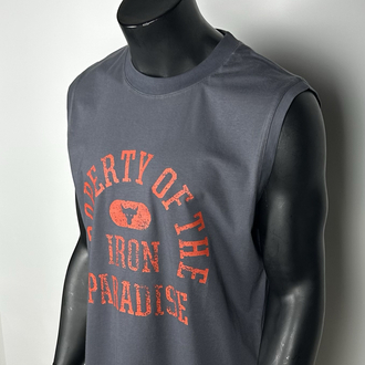 Nova Anthracite Cotton Sleeveless T-shirt & Rank G2  Micro Shorts Combin  |  1033