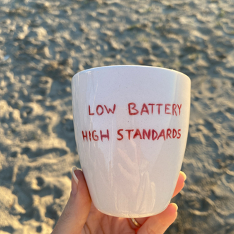 Low Battery High Standards Mug
