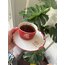 LARGE - Strawbery Gold 250ml *Tabaklı takım 