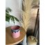 GRANDE- Pinkish Sky 350ml 