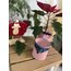GRANDE - Pinkish Winter 350ml 