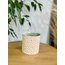 GRANDE- Autumn - 3 parça set, 350ml 
