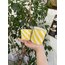 GRANDE- Sunny 350ml