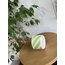 LARGE - Green 250ml