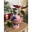 GRANDE - Pinkish Winter 350ml 