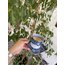 Bubble- Sea 250ml _Tabaklı takım