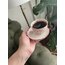 MONTBLANC - Red Poppy160ml*Tabaklı takım