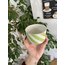 LARGE - Green 250ml