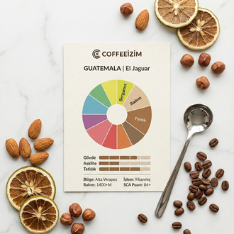 GUATEMALA EL JAGUAR | Rainforest Series