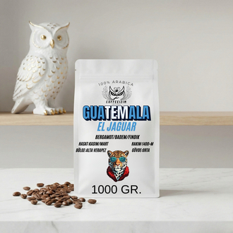 GUATEMALA EL JAGUAR | Rainforest Series
