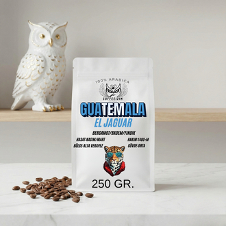 GUATEMALA EL JAGUAR | Rainforest Series