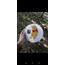 winnie the pooh tasarım pano