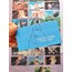 Studio Ghibli Karışık Sticker Pad