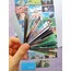 Studio Ghibli Karışık Sticker Pad