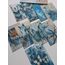 Ice b. animals paper