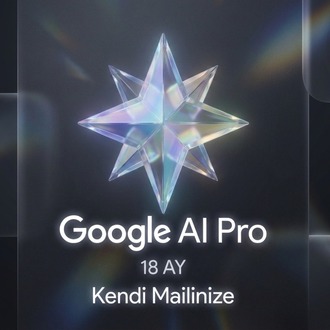 18 Aylık Gemini Pro