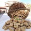 Kuru incir orta boy 500Gr