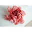 PEONY broş orta boy şeftali pembesi
