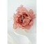 PEONY çoker çiçek