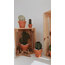 MEDIUM SAGUARO CACTUS | VERDE 5