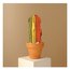 MEDIUM PRIDE WAVY CACTUS