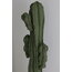 XLARGE SAGUARO CACTUS