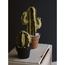 MEDIUM SAGUARO CACTUS  |  VERDE 3