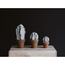 MEDIUM COLUMN CACTUS  |  BLANCO