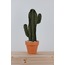 LARGE SAGUARO CACTUS  |  VERDE 5