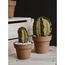 MINI COLUMN CACTUS  |  VERDE 3