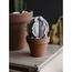 MINI BARREL CACTUS l BLANCO