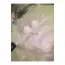 DP GİYİM - Pudra Pembe Dantel Model Destekli Balenli Iç Giyim