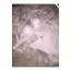 DP GİYİM - Pudra Pembe Dantel Model Destekli Balenli Iç Giyim