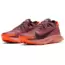 Nike Pegasus Trail 2 'Canyon Rust' CK4305-601