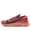 Nike Pegasus Trail 2 'Canyon Rust' CK4305-601