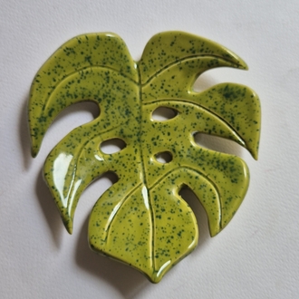 Monstera Sabunluk /Tabak