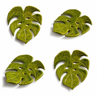 Monstera Sabunluk /Tabak