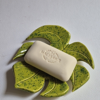 Monstera Sabunluk /Tabak