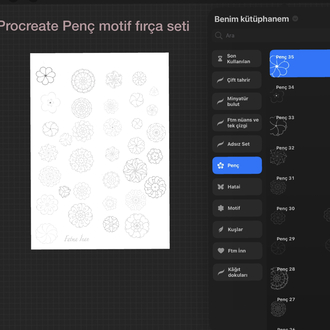 Procreate Stamp brush “Penç” seti 50 fırça