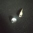 Spike 10x20mm