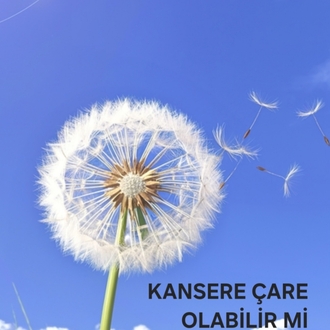 Karahindiba Sirkesi