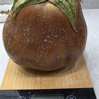 Patlıcan Grubu