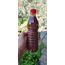 Laktobasil Serum