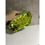 Pullu Clutch Çanta