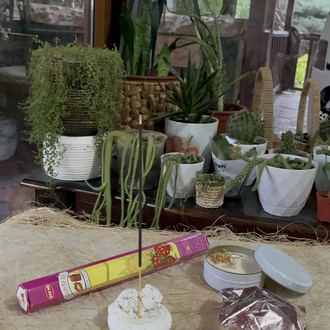 Kedi sevgi seti 2
