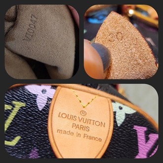 LOUIS VUITTON | Multicolor Speedy