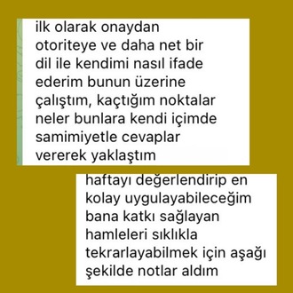 Profesyonel Otoriteni Kur