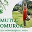 Mutlu Omurga  ~  postür ve hareket eğitimi